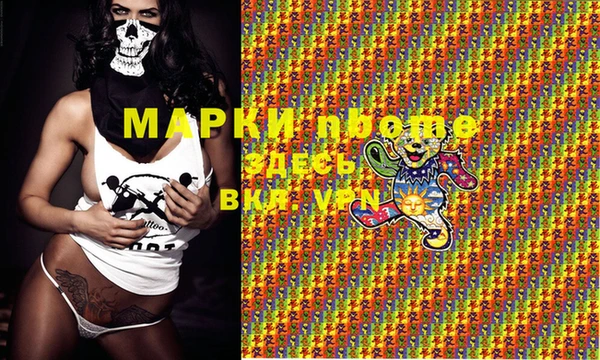 индика Абаза