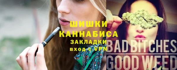 индика Абаза