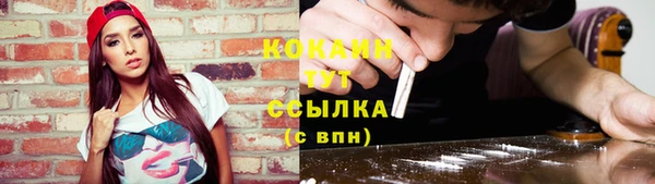 сатива Абинск