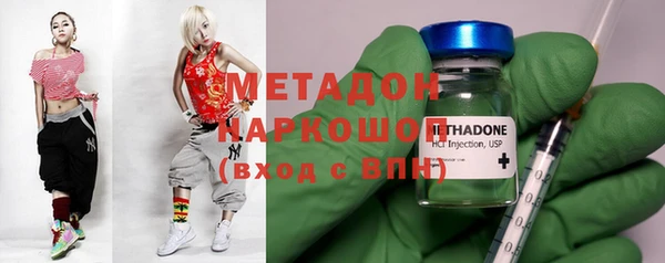 индика Абаза