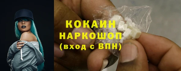 сатива Абинск