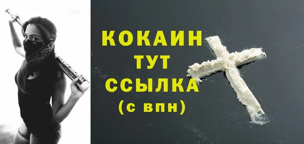 сатива Абинск