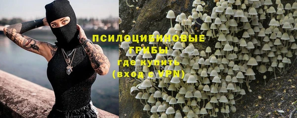 индика Абаза