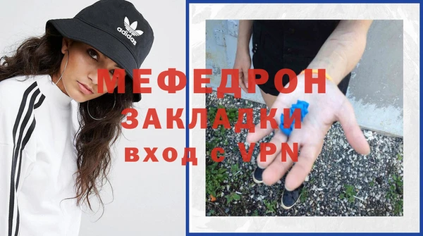 индика Абаза