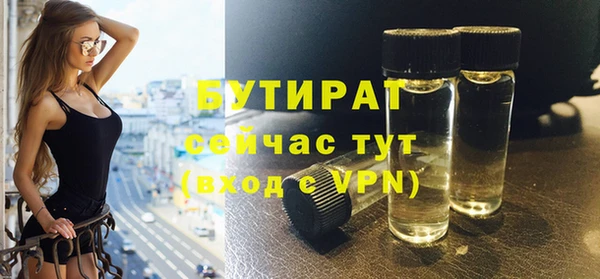 индика Абаза