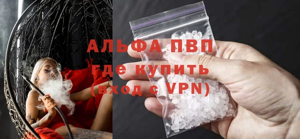 индика Абаза