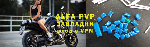 индика Абаза