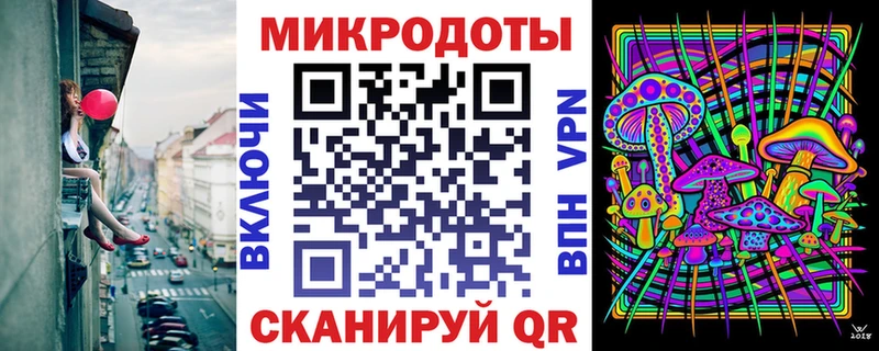 Псилоцибиновые грибы Psilocybine cubensis  Зея 